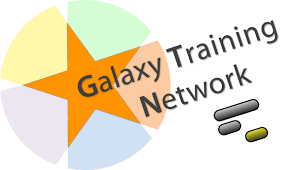 Logo de Galaxy Training